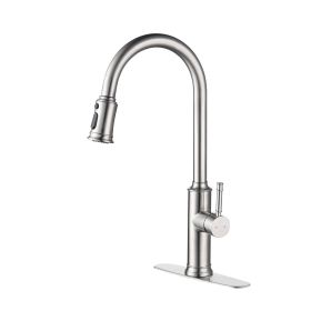 Kitchen Faucet with Pull Out Spraye
